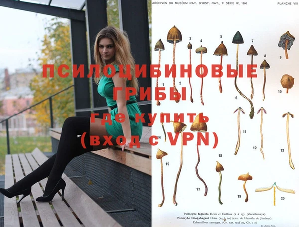 СК Абинск