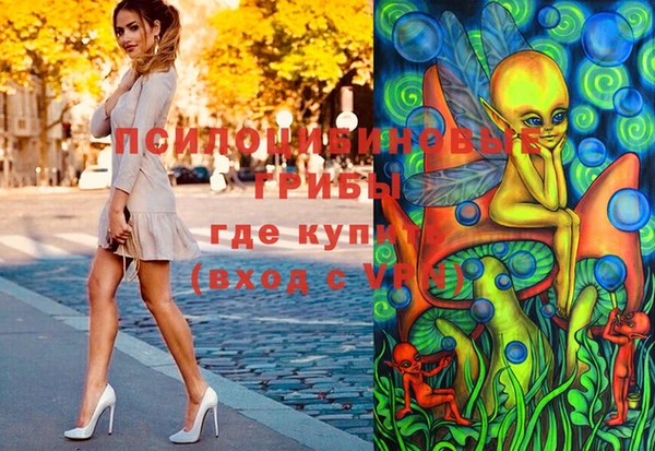СК Абинск