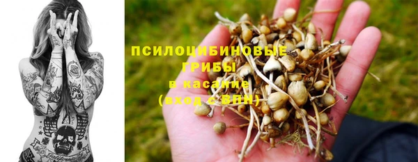 кокс Абаза