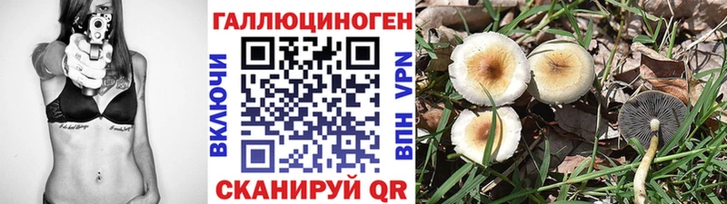 Псилоцибиновые грибы Psilocybe Ипатово