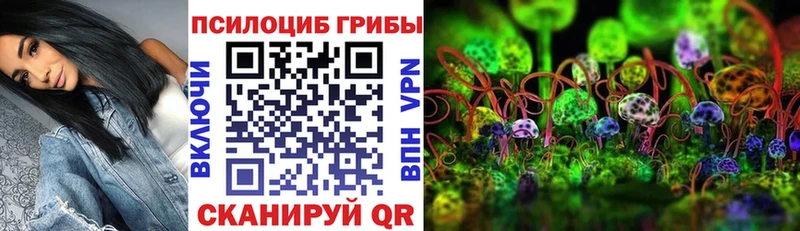 МЕГА   Ипатово  Галлюциногенные грибы MAGIC MUSHROOMS 